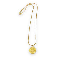 Load image into Gallery viewer, Pisces Gold Coin ~ necklace
