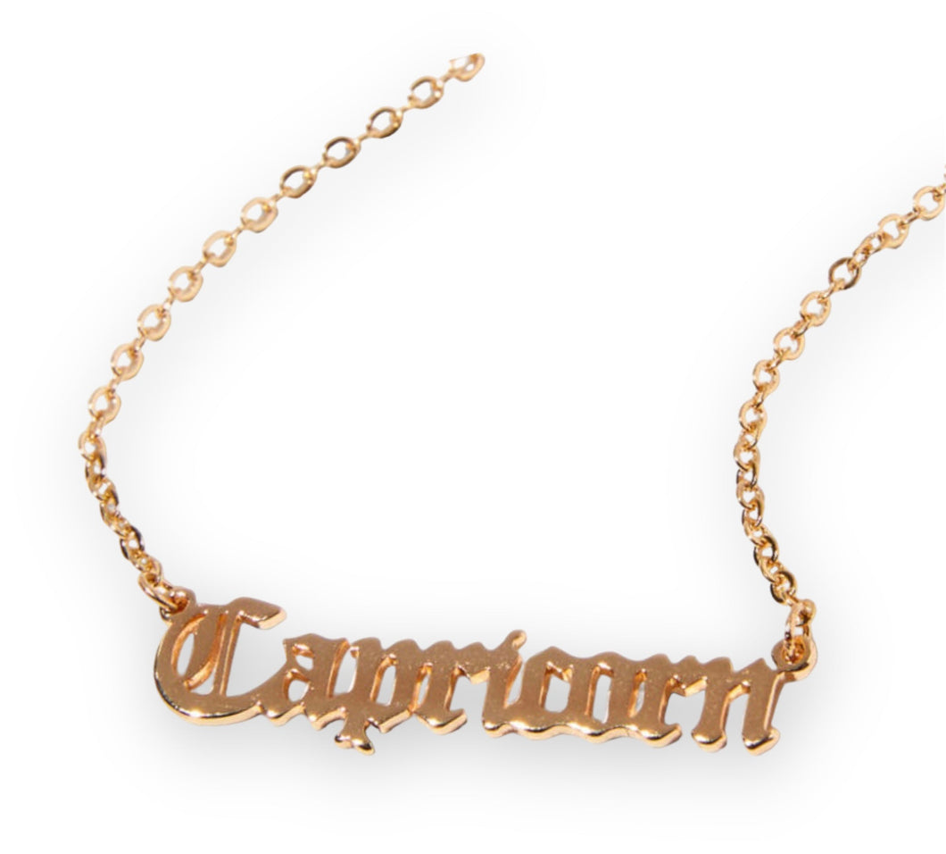 Capricorn ~ necklace